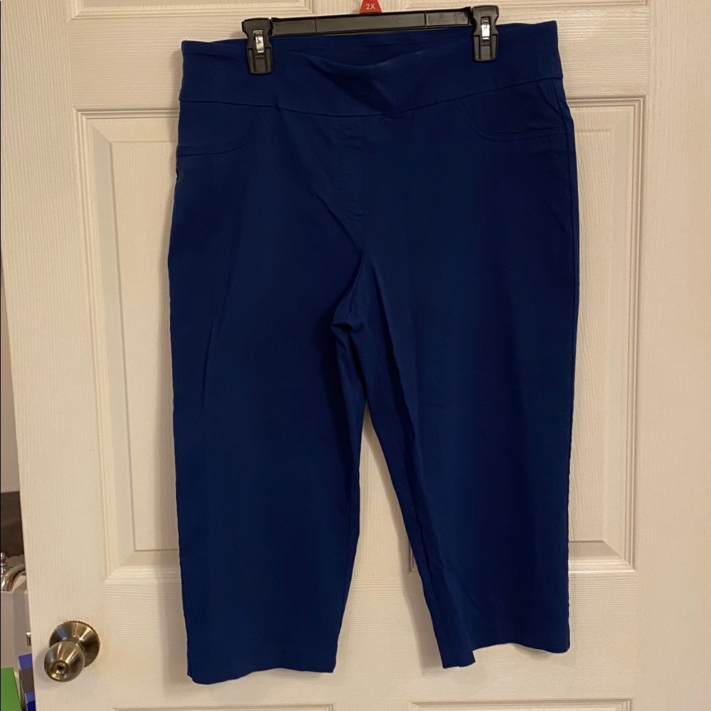 Ruby Rd. Navy 18 capris - Picture 2 of 6